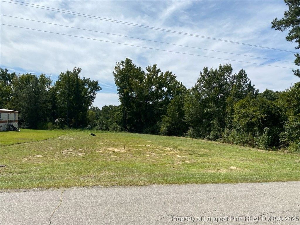 Photo of 352 Mckay Drive, Spring Lake, NC 28390 (MLS # 747306)