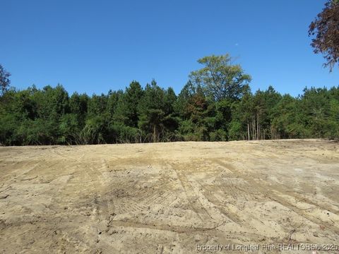 Tiny photo for 7120 Matt Hair Road, Fayetteville, NC 28312 (MLS # 753762)
