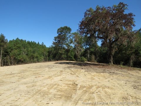 Tiny photo for 7120 Matt Hair Road, Fayetteville, NC 28312 (MLS # 753762)