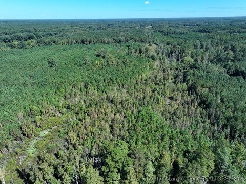 Tiny photo for 7120 Matt Hair Road, Fayetteville, NC 28312 (MLS # 753762)