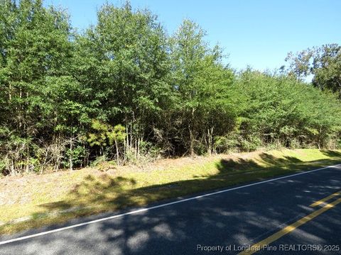 Tiny photo for 7120 Matt Hair Road, Fayetteville, NC 28312 (MLS # 753762)