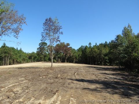 Tiny photo for 7120 Matt Hair Road, Fayetteville, NC 28312 (MLS # 753762)