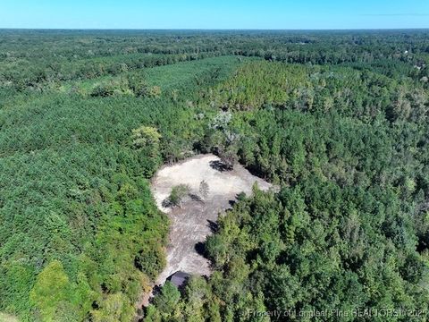 Tiny photo for 7120 Matt Hair Road, Fayetteville, NC 28312 (MLS # 753762)