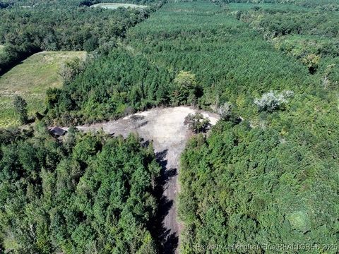 Tiny photo for 7120 Matt Hair Road, Fayetteville, NC 28312 (MLS # 753762)