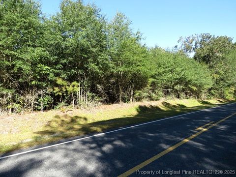Tiny photo for 7120 Matt Hair Road, Fayetteville, NC 28312 (MLS # 753762)