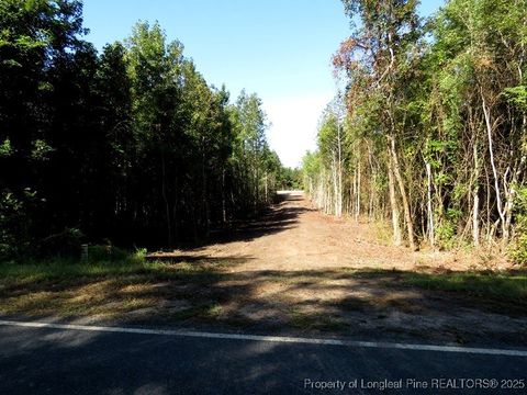 Tiny photo for 7120 Matt Hair Road, Fayetteville, NC 28312 (MLS # 753762)