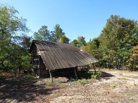 Tiny photo for 7120 Matt Hair Road, Fayetteville, NC 28312 (MLS # 753762)