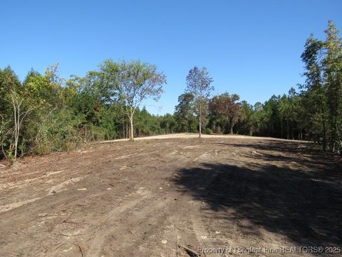 Tiny photo for 7120 Matt Hair Road, Fayetteville, NC 28312 (MLS # 753762)