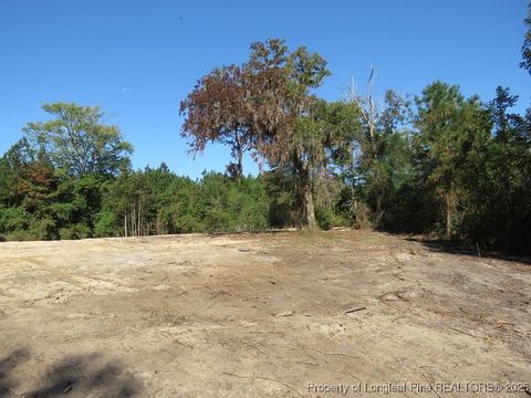 Tiny photo for 7120 Matt Hair Road, Fayetteville, NC 28312 (MLS # 753762)