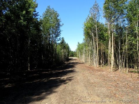 Tiny photo for 7120 Matt Hair Road, Fayetteville, NC 28312 (MLS # 753762)