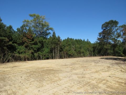 Tiny photo for 7120 Matt Hair Road, Fayetteville, NC 28312 (MLS # 753762)