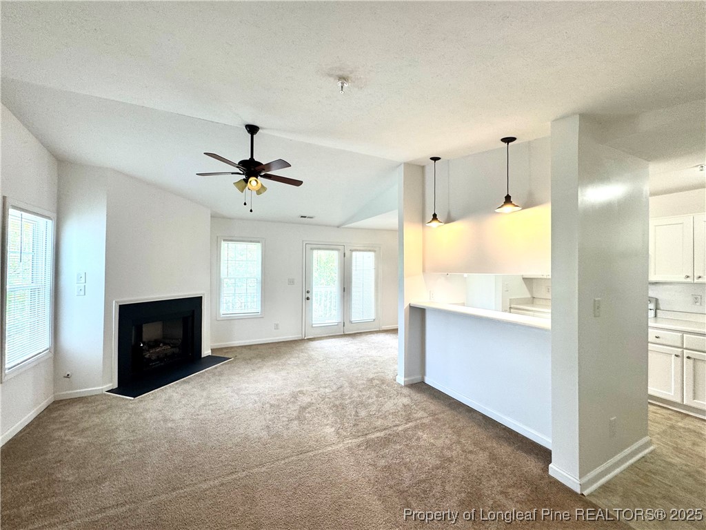 208 Waterdown Drive 10