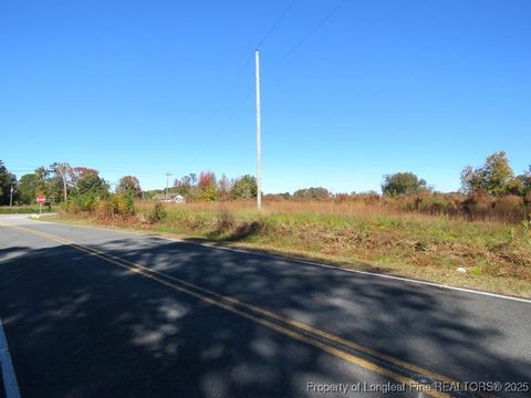 Tiny photo for TBD Hwy 41 Highway, Fairmont, NC 28340 (MLS # 753763)