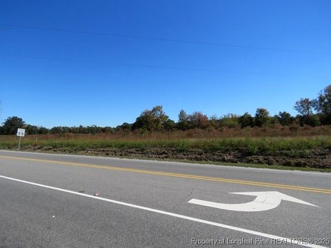 Tiny photo for TBD Hwy 41 Highway, Fairmont, NC 28340 (MLS # 753763)