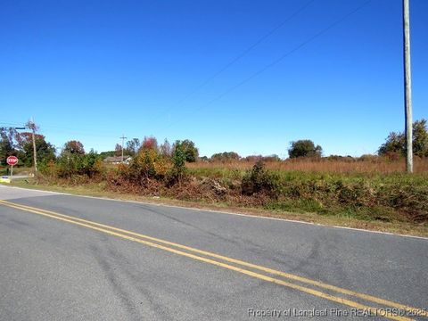 Tiny photo for TBD Hwy 41 Highway, Fairmont, NC 28340 (MLS # 753763)