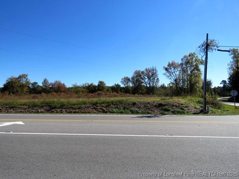 Tiny photo for TBD Hwy 41 Highway, Fairmont, NC 28340 (MLS # 753763)