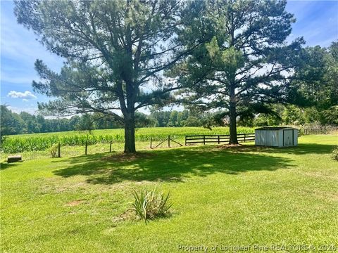 Tiny photo for 5095 Buckhorn Road, Sanford, NC 27330 (MLS # 765708)