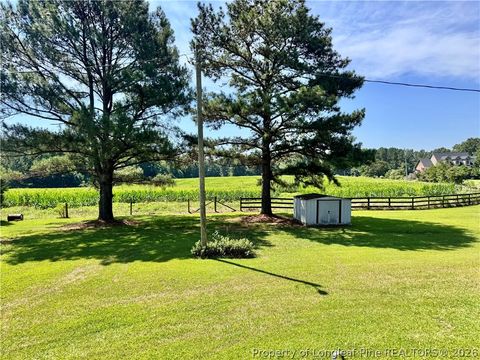 Tiny photo for 5095 Buckhorn Road, Sanford, NC 27330 (MLS # 765708)