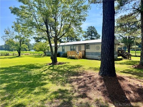 Photo of 5095 Buckhorn Road, Sanford, NC 27330 (MLS # 765708)
