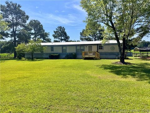 Tiny photo for 5095 Buckhorn Road, Sanford, NC 27330 (MLS # 765708)