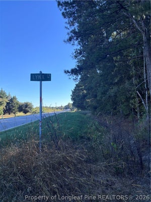 LYNX LANE, HOBGOOD, NC 27874 - Image 0851254fe2d8447dfb9bfd84385cee19/3814510009