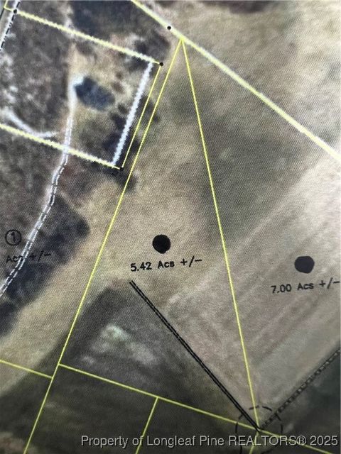 5.42 acres Buie Philadelphus Road Red Springs NC 28377