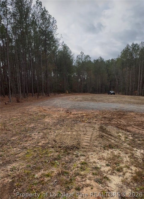 Photo of 183 Thistlecone Lane, Sanford, NC 27330 (MLS # 768582)