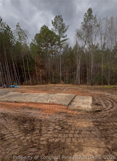 Tiny photo for 183 Thistlecone Lane, Sanford, NC 27330 (MLS # 768582)