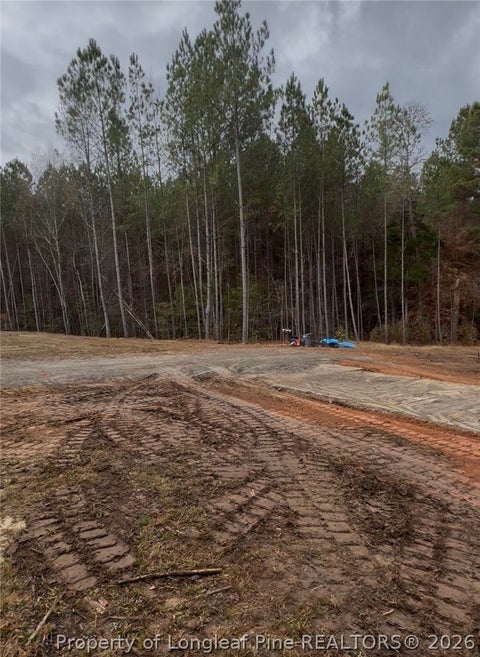 Tiny photo for 183 Thistlecone Lane, Sanford, NC 27330 (MLS # 768582)