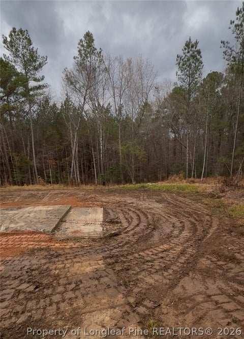 Tiny photo for 183 Thistlecone Lane, Sanford, NC 27330 (MLS # 768582)