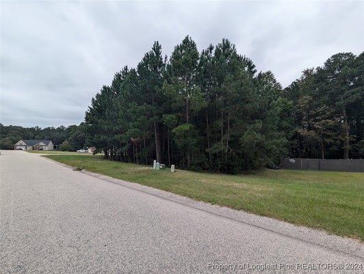 TBD 282 FALLING LEAF DRIVE, RAEFORD, NC 28376 - Image 0959ed54be555cd6b860643f4cc1dc8e/3342797430