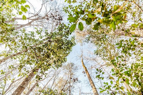 Tiny photo for 2027 Long Point Trail, Sanford, NC 27332 (MLS # 758601)