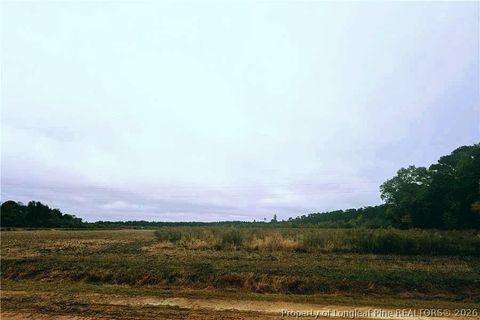 0 Triple B Lane Autryville NC 28318