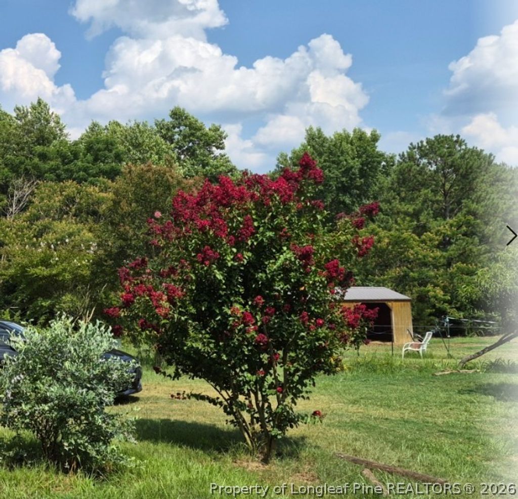 Photo of 1011 Sweet Raspberry Lane, Lillington, NC 27546 (MLS # 765815)