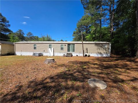 Photo of 689 Maynard Lake Road, Erwin, NC 28339 (MLS # 761854)