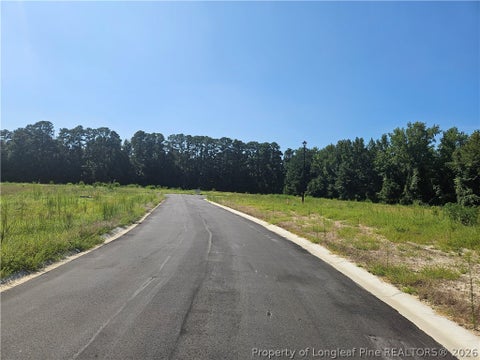 Tiny photo for 131 Britt Road, St Pauls, NC 28384 (MLS # 768279)