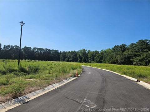 Tiny photo for 131 Britt Road, St Pauls, NC 28384 (MLS # 768279)