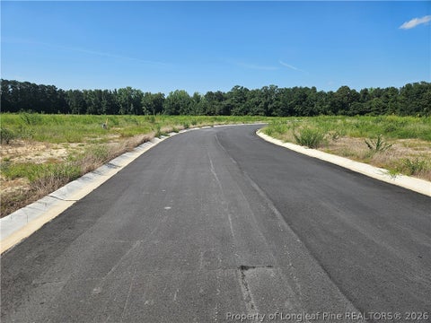 Tiny photo for 131 Britt Road, St Pauls, NC 28384 (MLS # 768279)