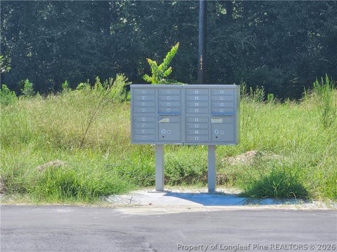 Tiny photo for 131 Britt Road, St Pauls, NC 28384 (MLS # 768279)