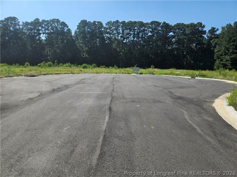 Tiny photo for 131 Britt Road, St Pauls, NC 28384 (MLS # 768279)