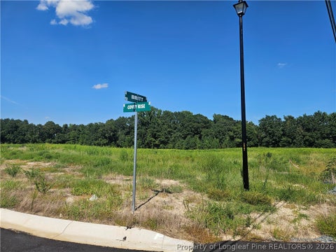 Tiny photo for 131 Britt Road, St Pauls, NC 28384 (MLS # 768279)