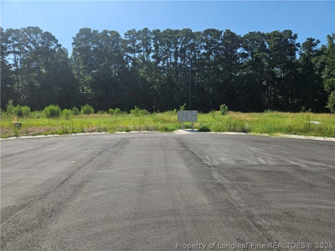 Tiny photo for 131 Britt Road, St Pauls, NC 28384 (MLS # 768279)