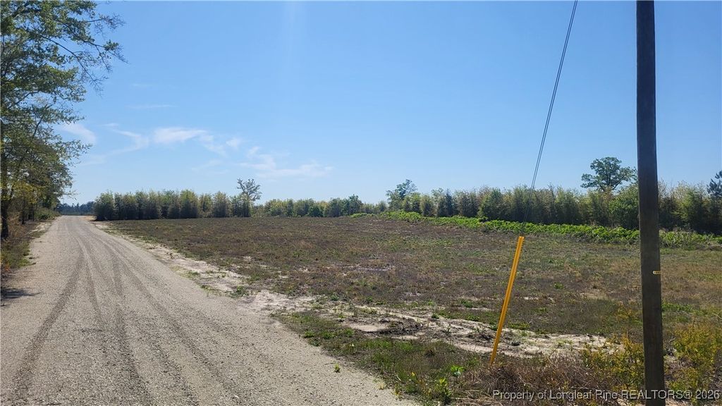 Photo of 7034 Pocosin Street, Fayetteville, NC 28312 (MLS # 756008)