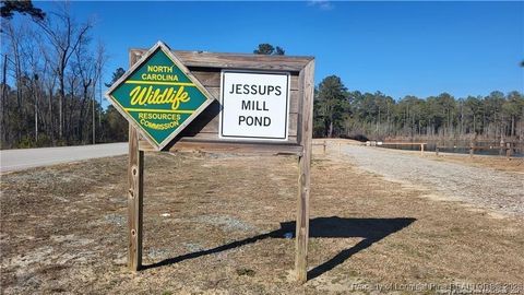 Tiny photo for 7034 Pocosin Street, Fayetteville, NC 28312 (MLS # 756008)