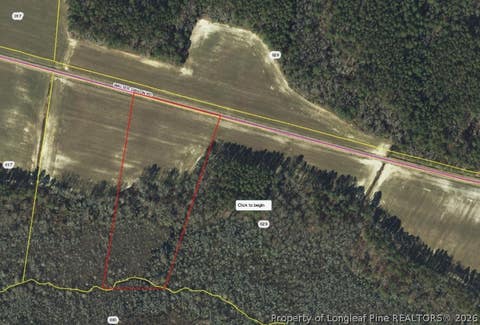 Photo of TBD Walter Gilbson (Tract No 4) Road, Red Springs, NC 28377 (MLS # 767038)