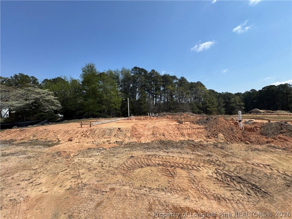 Photo of 452 James Street, Vass, NC 28394 (MLS # 760018)