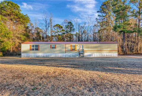 Photo of 6459 Wire Grass Road, Orrum, NC 28369 (MLS # 755250)