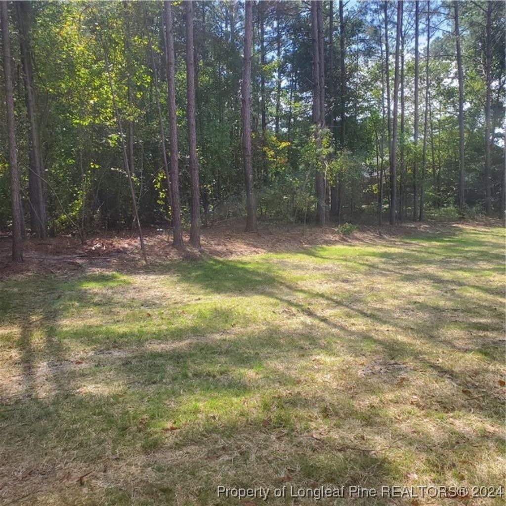 Photo of Lot 1 Rockfish Road, Raeford, NC 28376 (MLS # 731881)
