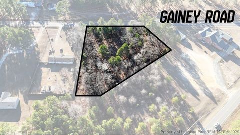 Tiny photo for 3938 Gainey Road, Raeford, NC 28376 (MLS # 755670)