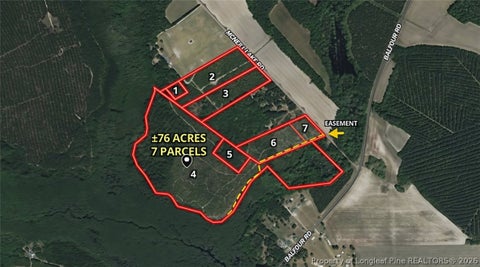 Tiny photo for McNeill Lake Road, Lumber Bridge, NC 28357 (MLS # 768193)